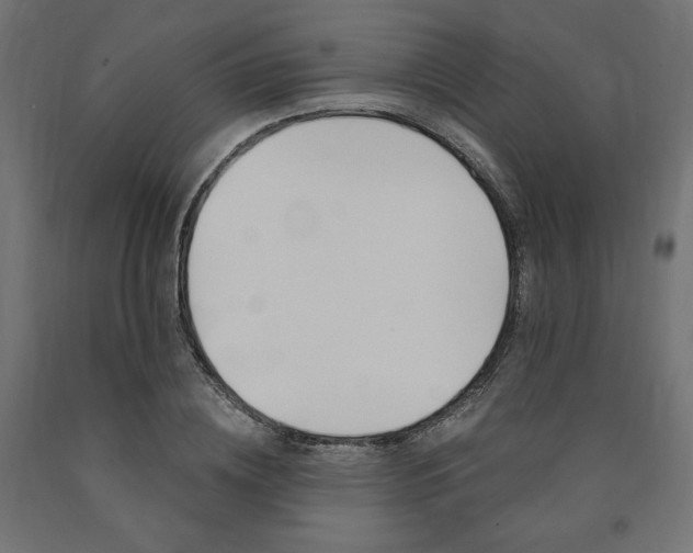 X0000091010836200708021404