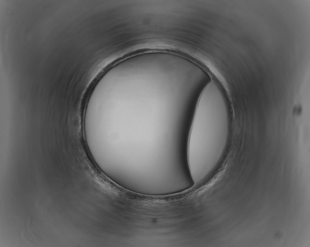 X0000091010837200708021404