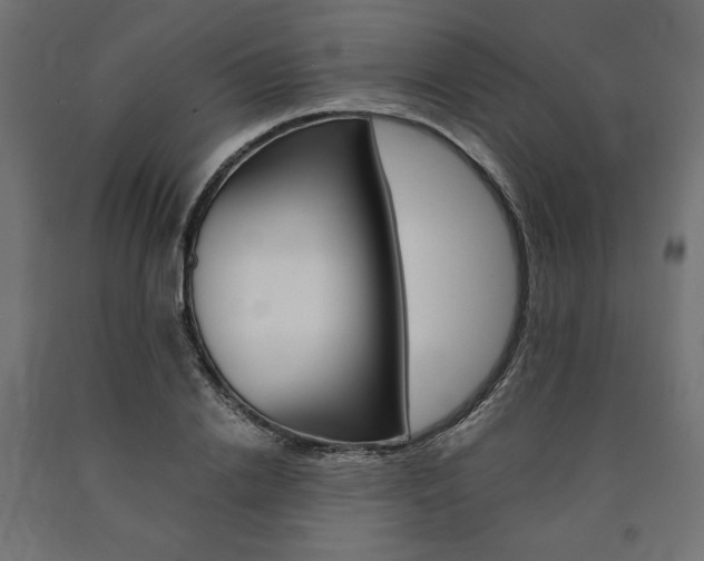 X0000091010838200708021404