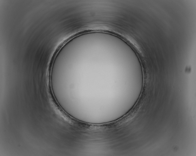X0000091010840200708021404