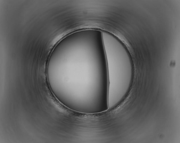 X0000091010842200708021404