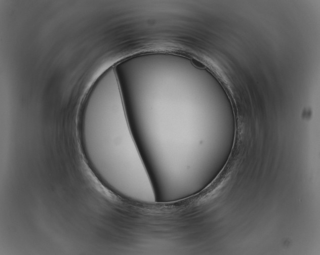 X0000091010843200708021405