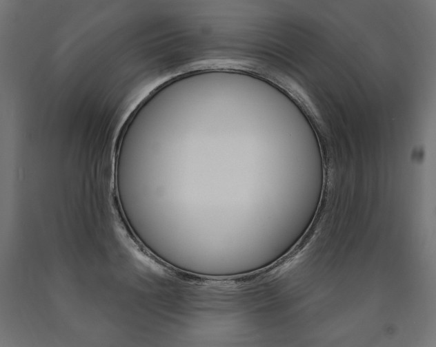 X0000091010844200708021405