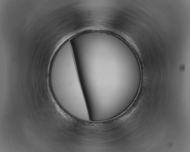X0000091010845200708021405