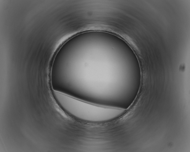 X0000091010846200708021405