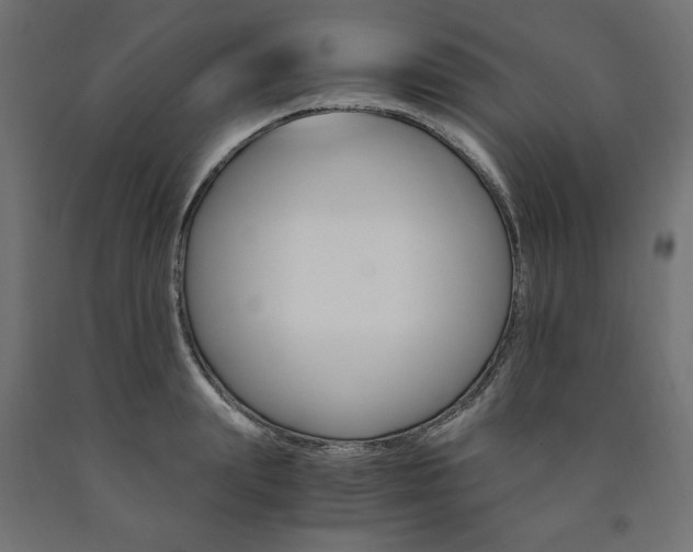 X0000091010847200708021405