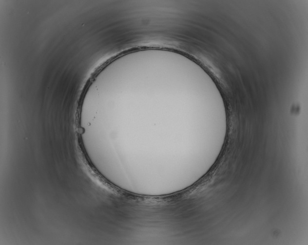 X0000091010848200708021405