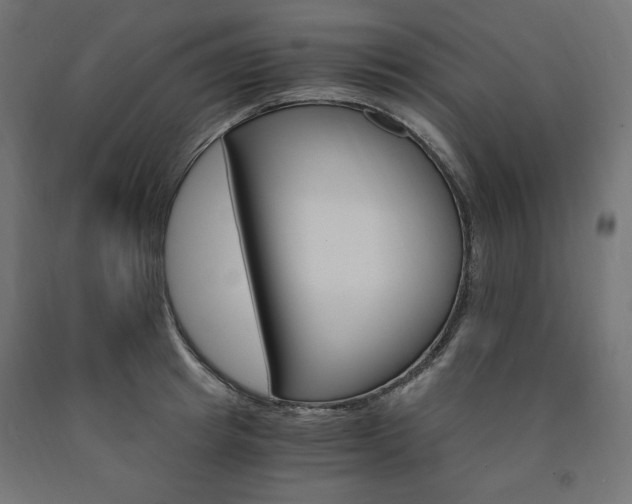 X0000091010849200708021405