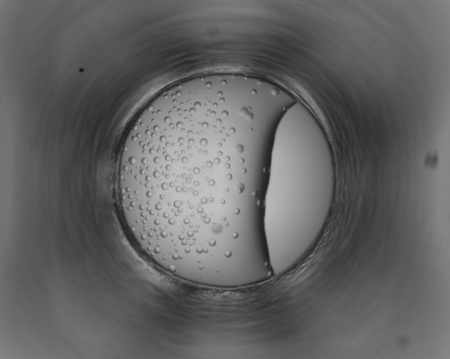 X0000091010851200708021405