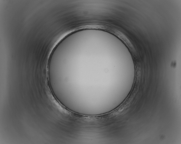 X0000091010852200708021405