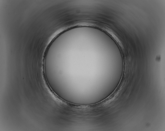 X0000091010853200708021405