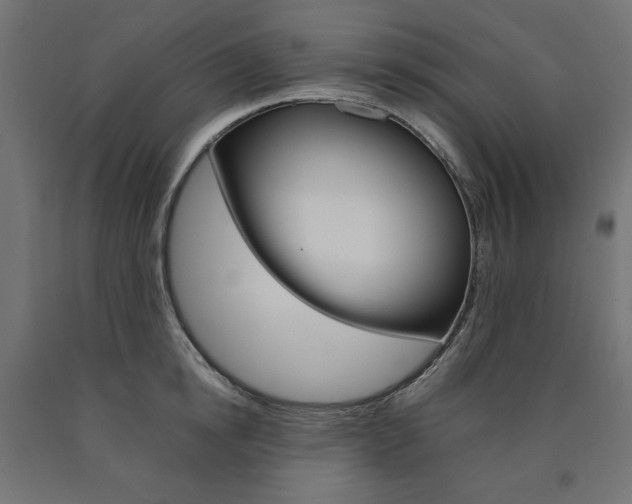 X0000091010854200708021405