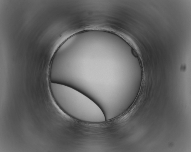 X0000091010855200708021405