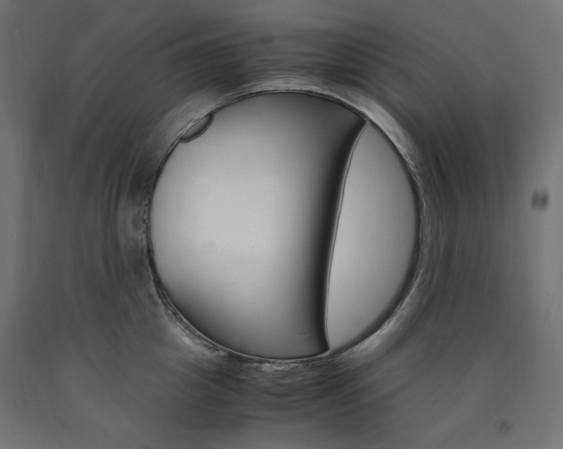 X0000091010857200708021405