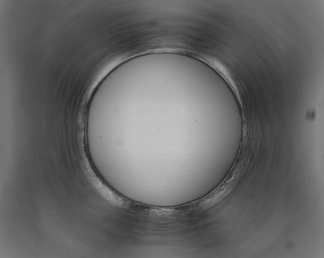 X0000091010859200708021405