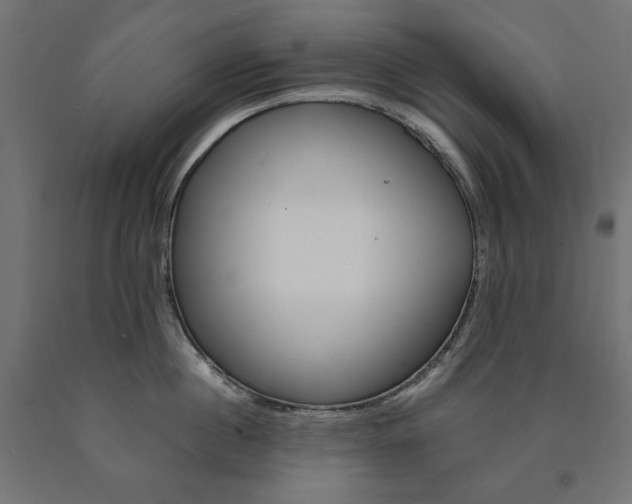 X0000091010860200708021405