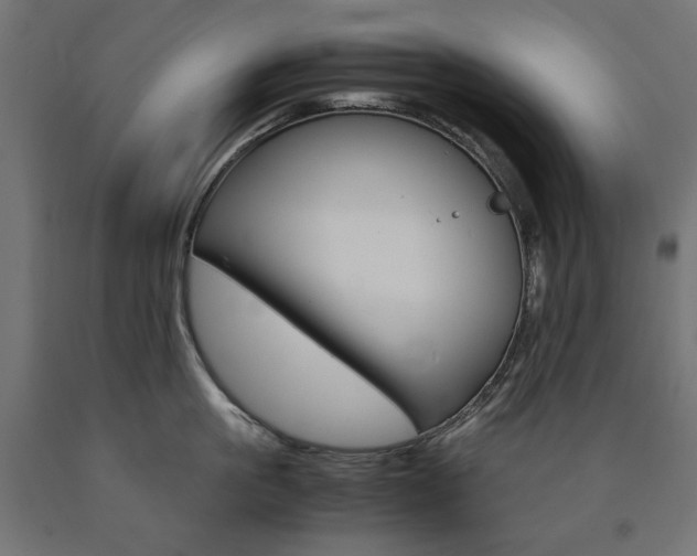 X0000091010861200708021405