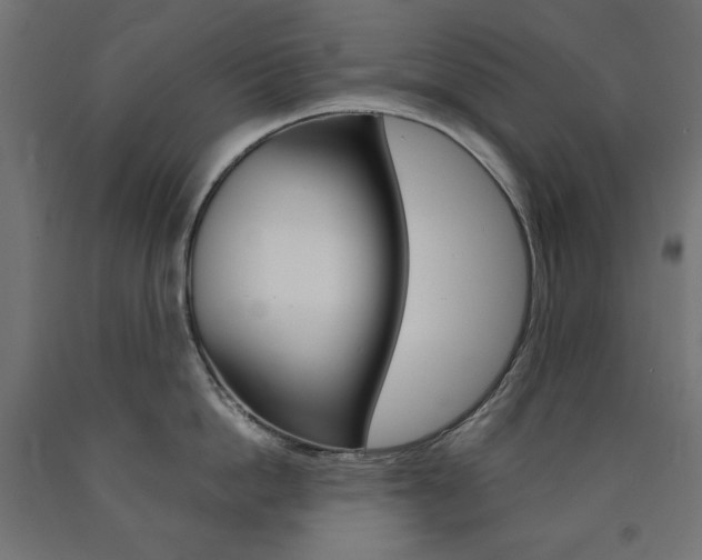 X0000091010862200708021405