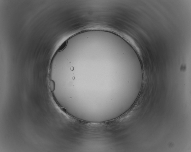 X0000091010863200708021405