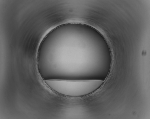 X0000091010864200708021405