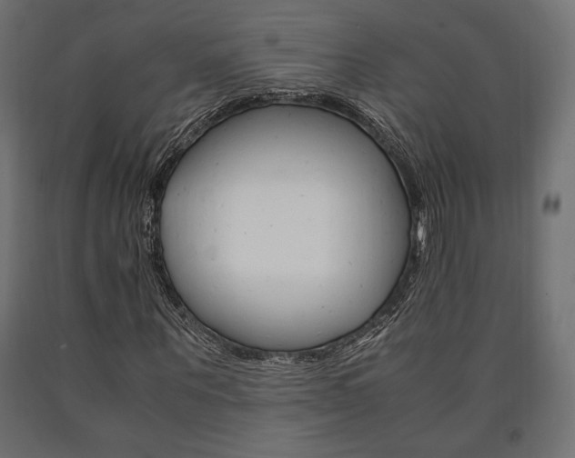 X0000091010867200708021404
