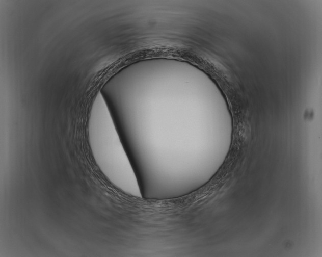 X0000091010869200708021404