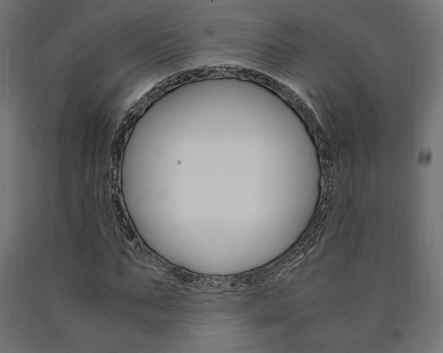 X0000091010871200708021404