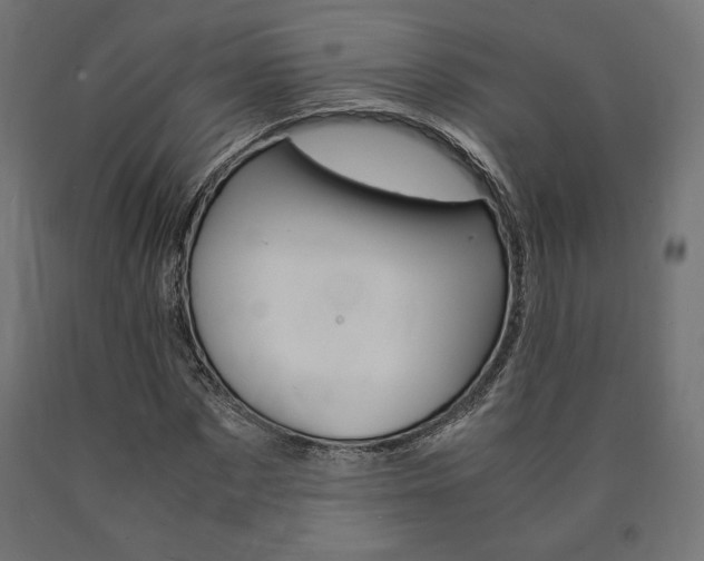 X0000091010873200708021404