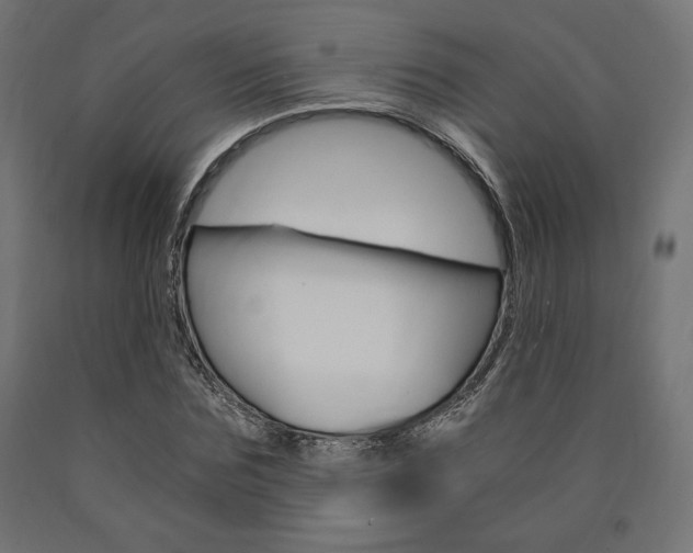 X0000091010875200708021404