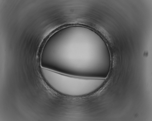 X0000091010876200708021404
