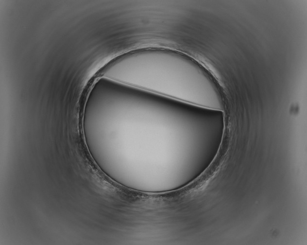 X0000091010877200708021404