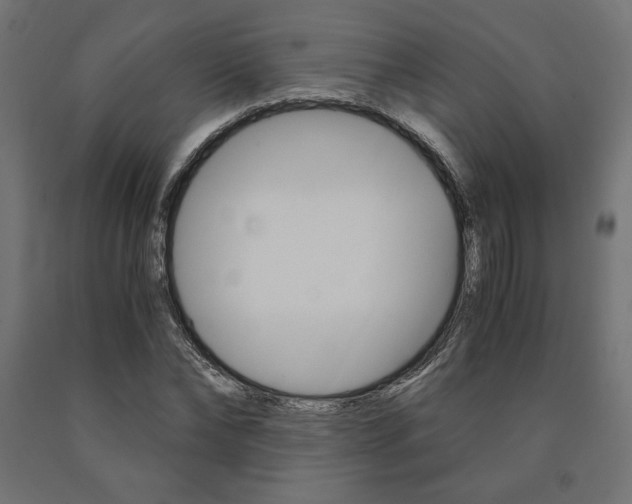 X0000091010878200708021404