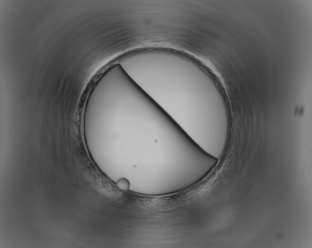 X0000091010879200708021404