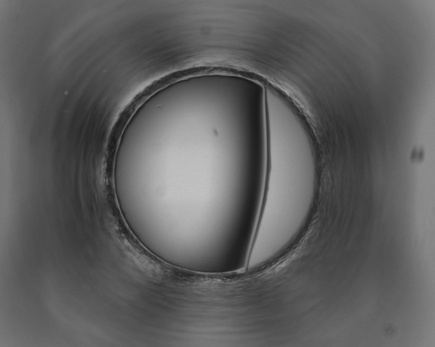 X0000091010880200708021404