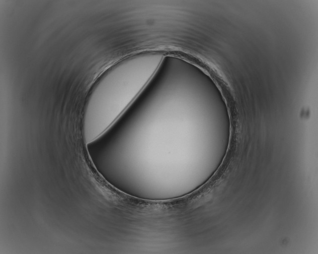 X0000091010881200708021404