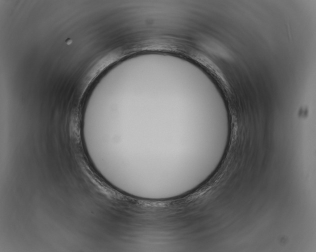 X0000091010882200708021404