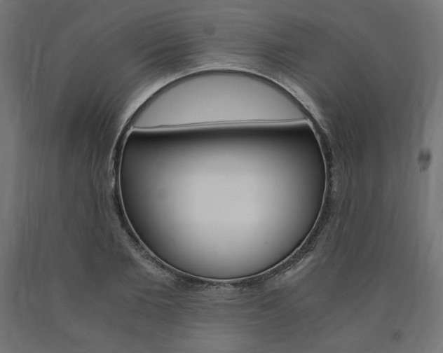 X0000091010885200708021404