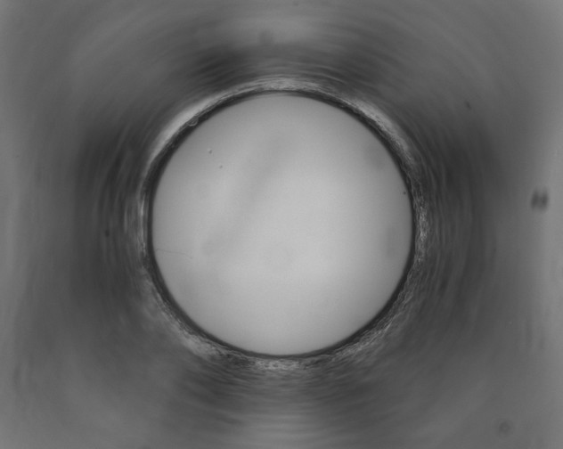 X0000091010886200708021404