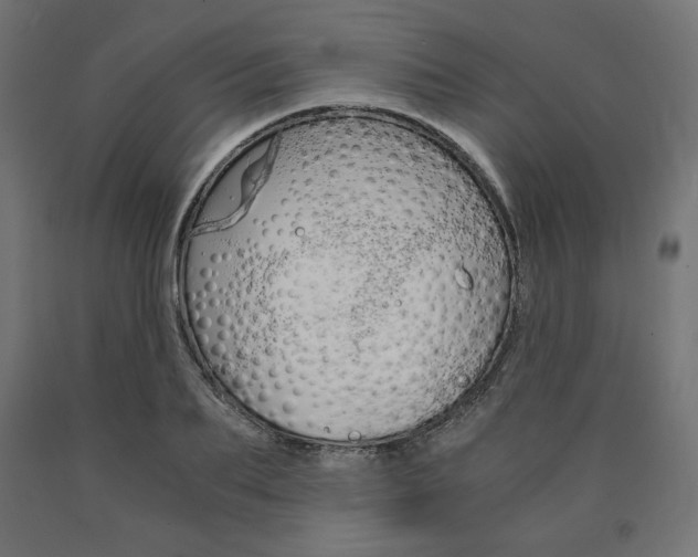 X0000091010887200708021404