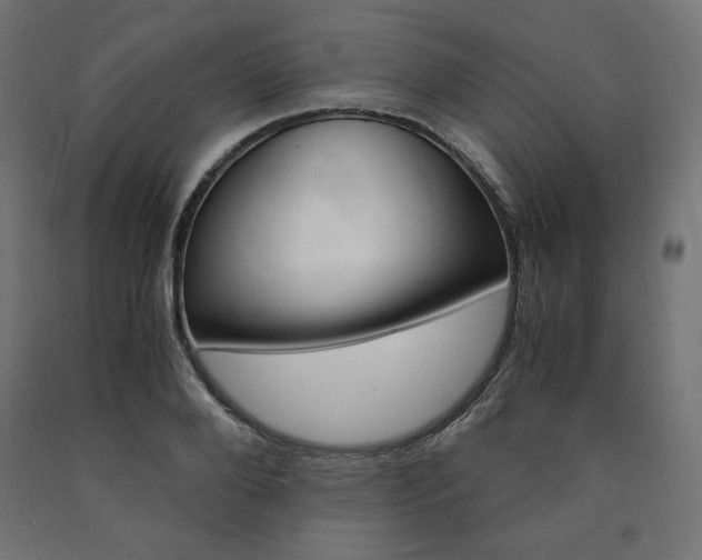 X0000091010888200708021404