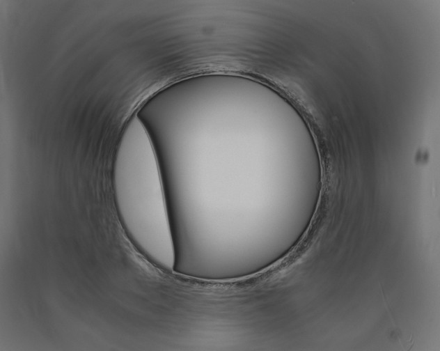 X0000091010889200708021404