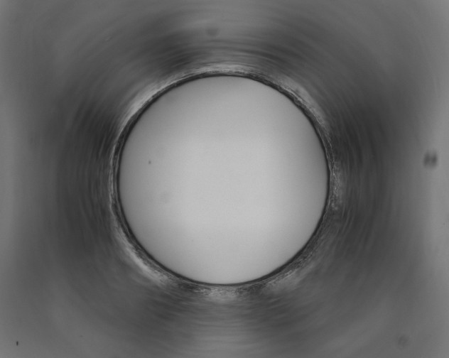 X0000091010890200708021404