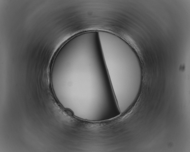X0000091010892200708021404