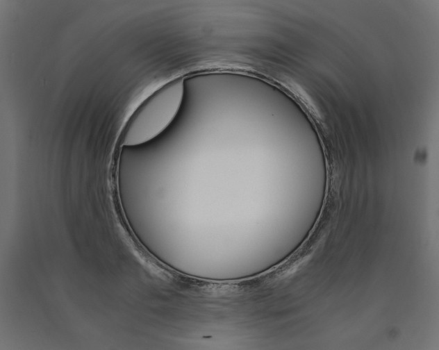 X0000091010893200708021404