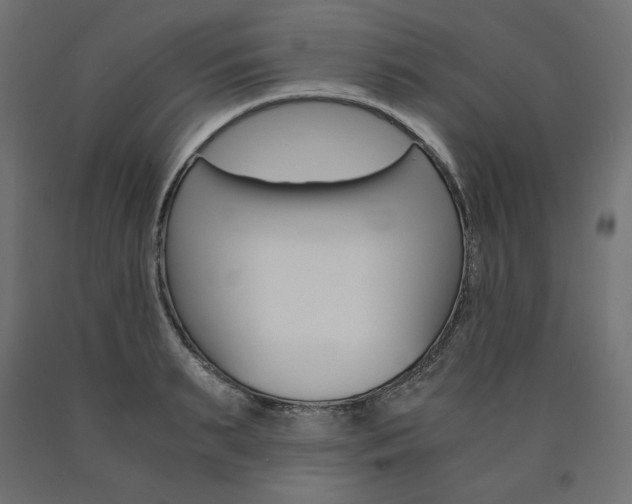 X0000091010895200708021404
