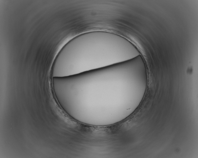 X0000091010899200708021404