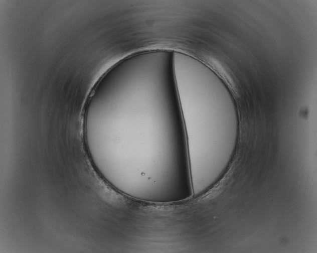 X0000091010900200708021404