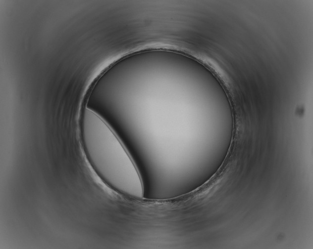 X0000091010902200708021404