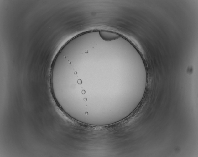 X0000091010903200708021404