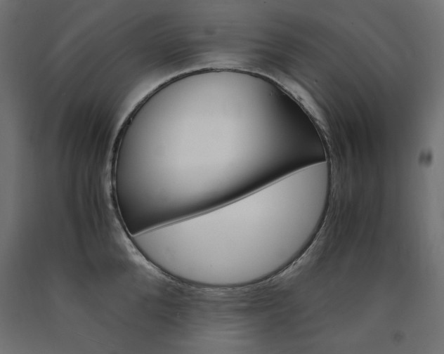 X0000091010904200708021404